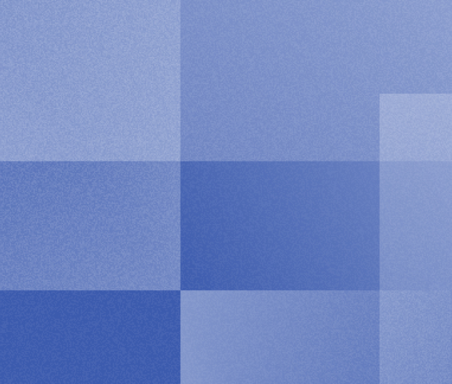 Website Service (S)